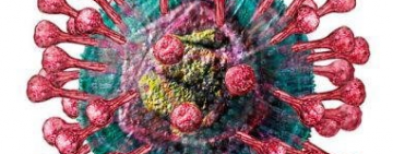 Coronavirus: Il Comitato Regionale dispone tutte le gare a porte chiuse fino al 3 aprile 2020