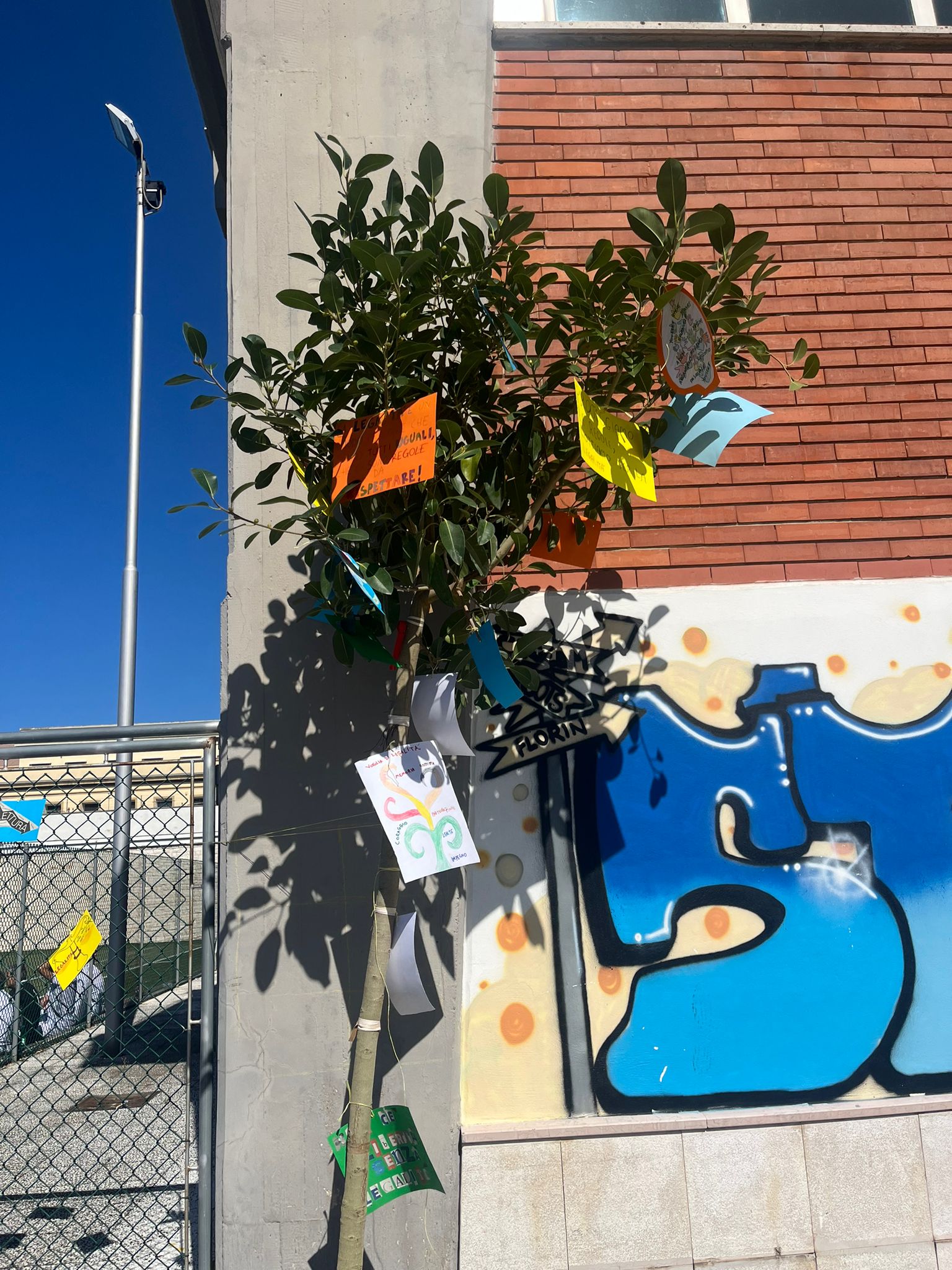 Albero della legalità